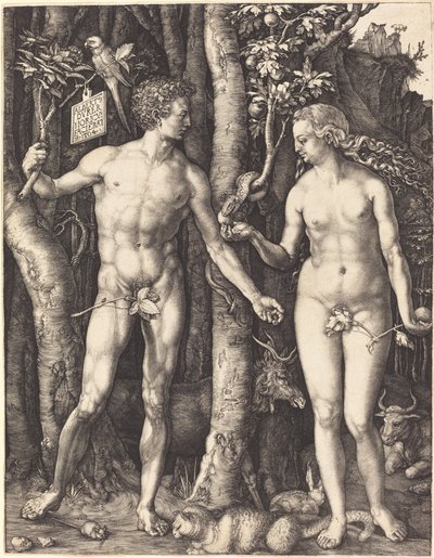 Adam og Eva av Albrecht Dürer