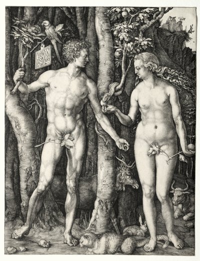 Adam og Eva av Albrecht Dürer