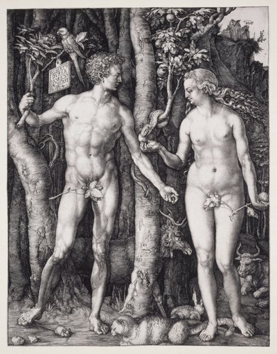  av Albrecht Dürer