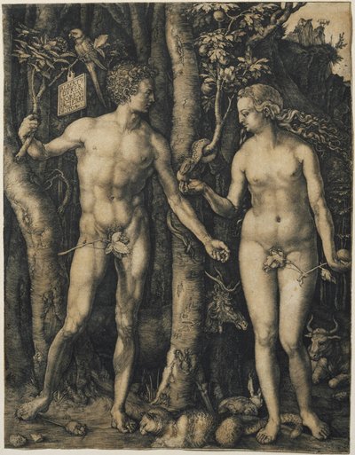 av Albrecht Dürer