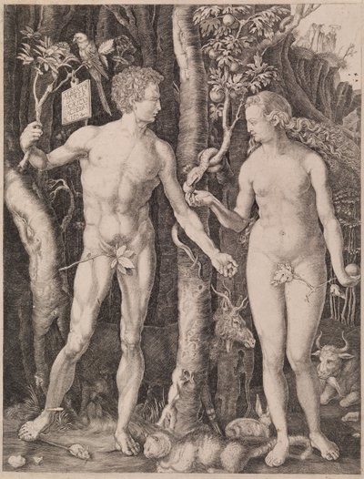  av Albrecht Dürer