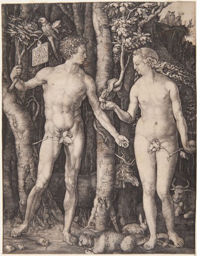 av Albrecht Dürer