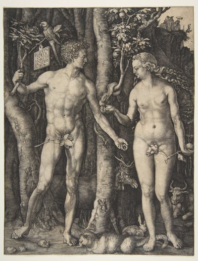  av Albrecht Dürer