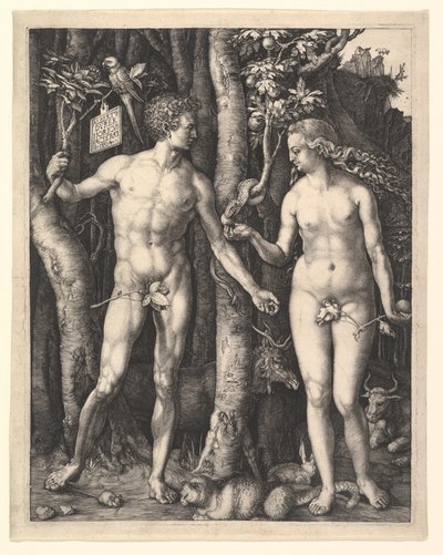  av Albrecht Dürer