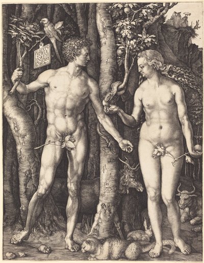  av Albrecht Dürer