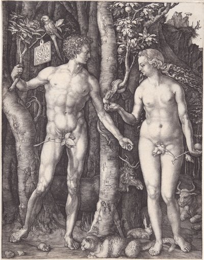  av Albrecht Dürer