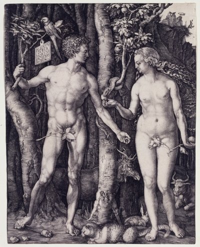  av Albrecht Dürer