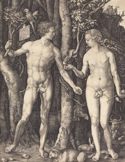 Adam og Eva, 1504. av Albrecht Dürer