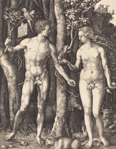 Adam og Eva, 1504. av Albrecht Dürer