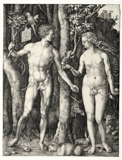 Adam og Eva, 1504. av Albrecht Dürer