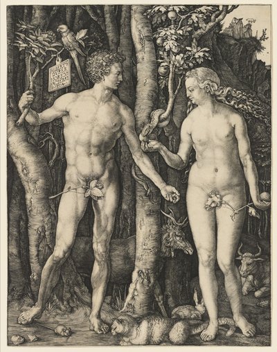 Adam og Eva, 1504 av Albrecht Dürer