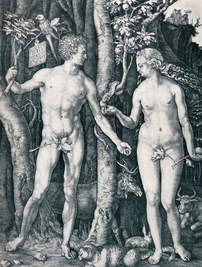 Adam og Eva, 1504 1906 av Albrecht Dürer