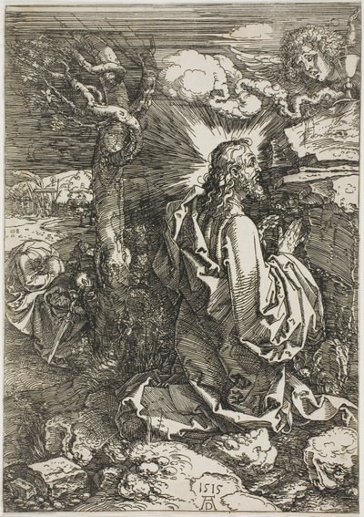 Kval i hagen av Albrecht Dürer