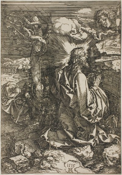Kval i hagen av Albrecht Dürer
