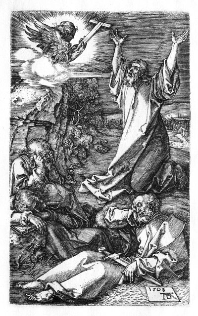 Kval i hagen av Albrecht Dürer