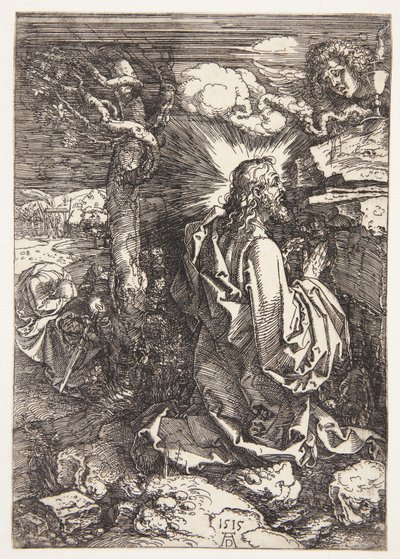Kval i hagen av Albrecht Dürer