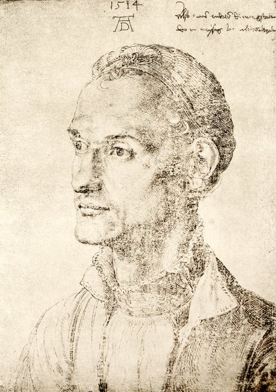 Andreas Durer av Albrecht Dürer