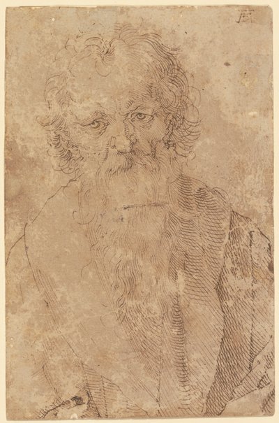  av Albrecht Dürer