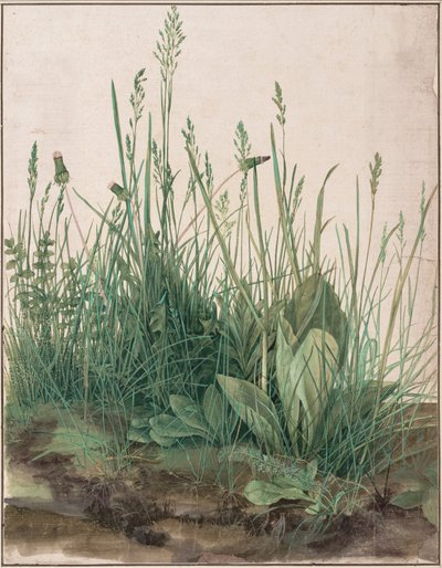 Det store plenstykket av Albrecht Dürer