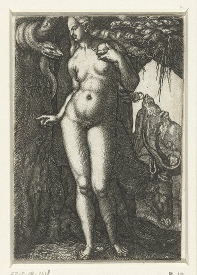  av Albrecht Dürer