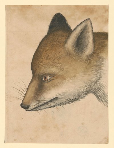  av Albrecht Dürer