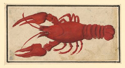  av Albrecht Dürer