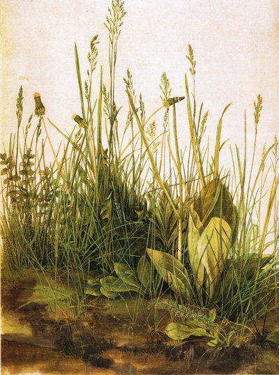  av Albrecht Dürer
