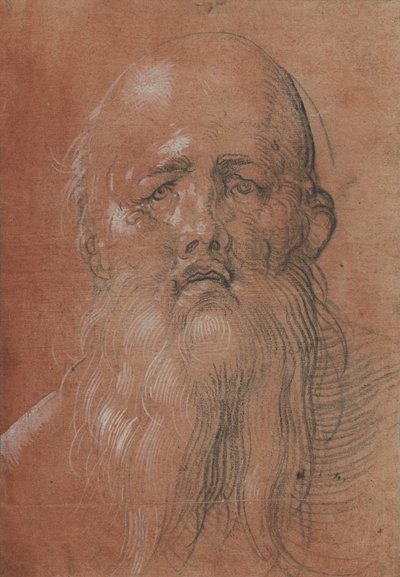  av Albrecht Dürer