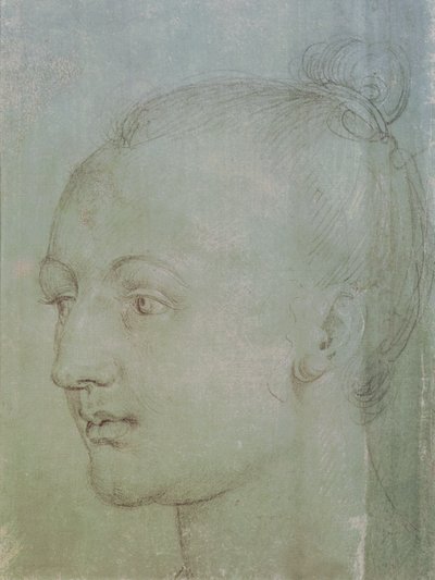 Head of a Young Woman (svart kritt forsterket med hvitt kritt på grønt papir) av Albrecht Dürer