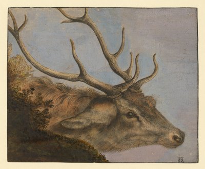  av Albrecht Dürer