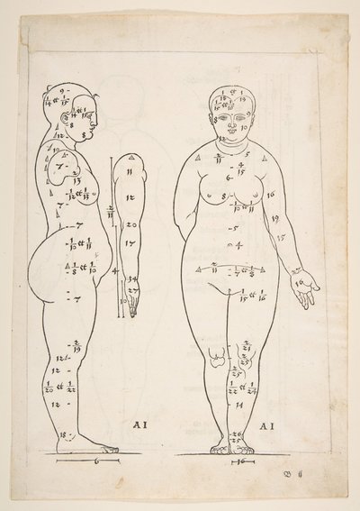 Illustrasjon fra Dürers fire bøker om menneskelig proporsjon, Nürnberg, 1528.n.d. av Albrecht Dürer