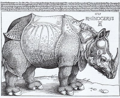 av Albrecht Dürer