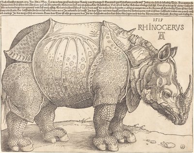  av Albrecht Dürer