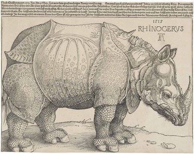  av Albrecht Dürer