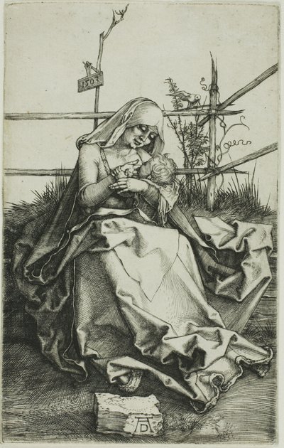 Madonna på en gresskledd bredd av Albrecht Dürer