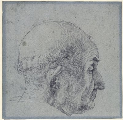 Mannlig hode i profil av Albrecht Dürer
