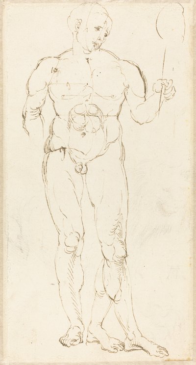 Naken mann holder et speil [recto] av Albrecht Dürer