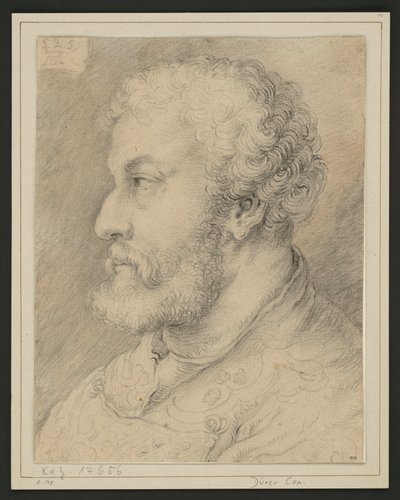 Profilportrett av Raymund Fugger? av Albrecht Dürer