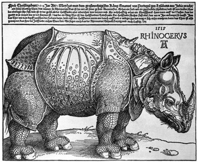 Rhinoceros, trykk gitt til Maximilian I av kongen av Lisboa, 1515, 1936 av Albrecht Dürer