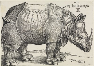 Rhinocerus (Neshornet) av Albrecht Dürer