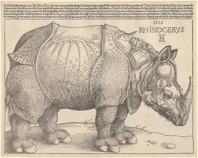  av Albrecht Dürer