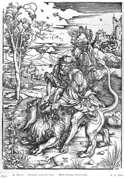 Samson dreper løven, ca. 1496-98 av Albrecht Dürer