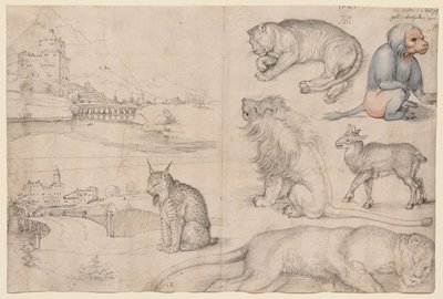  av Albrecht Dürer
