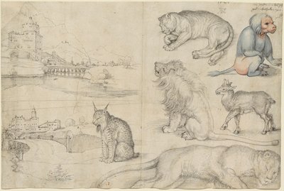 Skisser av dyr og landskap, 1521. av Albrecht Dürer
