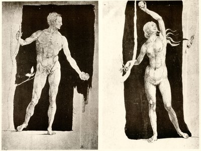 Studier om Adam og Eva av Albrecht Dürer