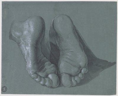 Study of Two Feet, ca. 1508 av Albrecht Dürer