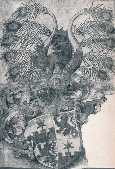 Våpenskjoldet til Wilhelm og Wolfgang Roggendorff, 1520 1906 av Albrecht Dürer