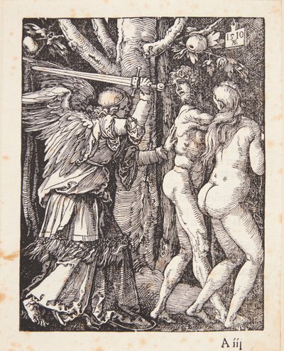  av Albrecht Dürer