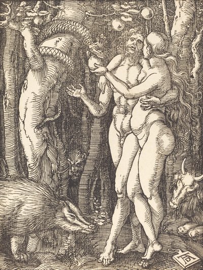Menneskets fall, sannsynligvis ca. 15091510. av Albrecht Dürer
