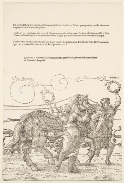  av Albrecht Dürer